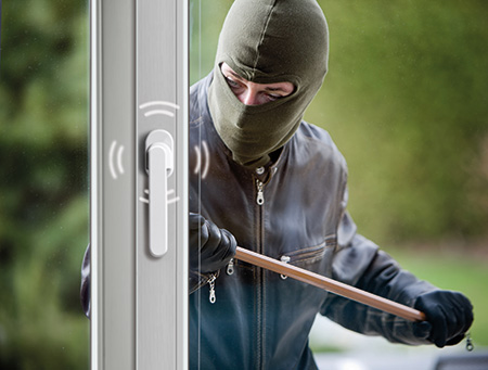 Einbruchschutz mit Schellenberg