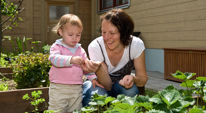 Fullwood Haus, Kraichgauer Fichte