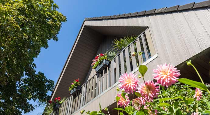 Fassadensanierung mit Faserzementplatten von Cedral Fassadensanierung mit Faserzementplatten von Cedral