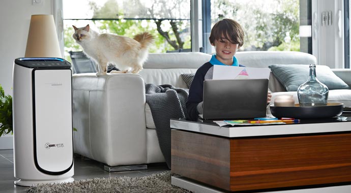 Luftreiniger Intense Pure Air XL PU6080 von Rowenta Luftreiniger Intense Pure Air XL PU6080 von Rowenta