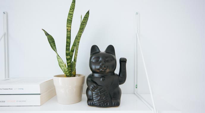 charles-deluvio-271648 charles-deluvio-271648