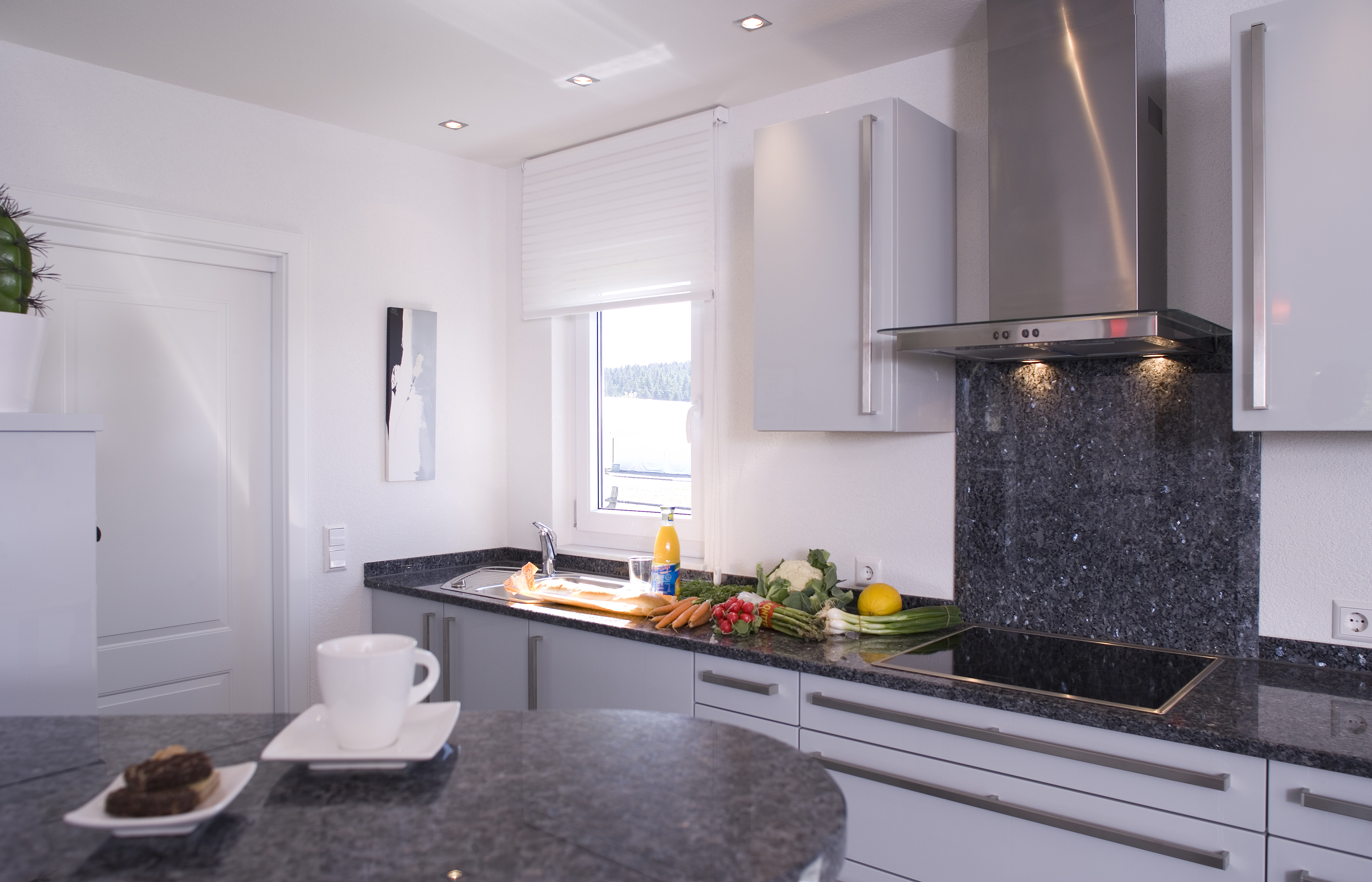 Bodenseehaus Musterhaus Villingen-Schwennigen Küche