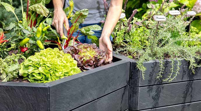 GARANTIA Ergo Hochbeet-System Stone von Graf GARANTIA Ergo Hochbeet-System Stone von Graf