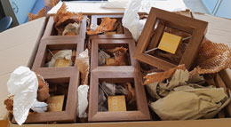 Die Gewinner Gewinne Haus des Jahres 2023